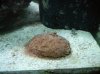 DSCN1483.jpg