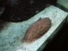 DSCN1484.jpg