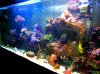 Full Tank Right 2.jpg