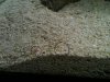 photo(2).jpg