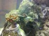 IMG_20100920_202727.jpg