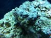 IMG_0071.jpg