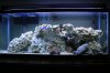 fishtank.jpg