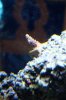 DSC01610.jpeg