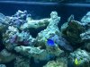 2010-09-25 17.26.05.jpg