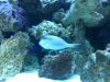2010-09-25 17.28.07.jpg
