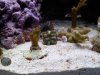 downsized_0925001100.jpg