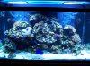 100_2387.jpg