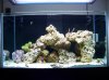 100_0781.jpg