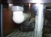100_2403.jpg