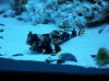 100_0810.jpg