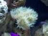 100_0783.jpg