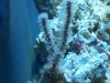 100_0823.jpg