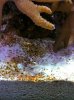 Pests1.jpg