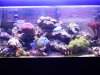 New 65 Setup and build 012.jpg