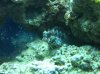 IMG_0086.jpg