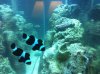IMG_0092 dan.jpg