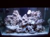 100_5065.jpg