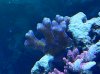 IMG_0070.jpg