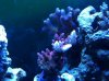 IMG_0068.jpg