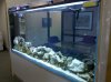 2009-12-09 11.59.47.jpg