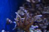 DSC03201.JPG