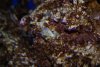 DSC03208.JPG