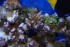 DSC03202.JPG