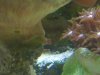 IMG_20101018_110349.jpg