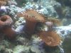 IMG_20101018_180305.jpg