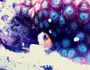 user21957_pic6843_1280499497.jpg