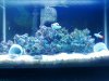 10 gallon.jpg
