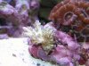 DSCN1587_218.jpg