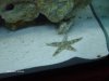 45g tall Tank Build 2 001.jpg