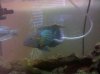 IMG_20101026_121106.jpg