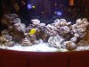 IMG00162-20101026-1758.jpg