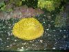 IMG00156-20101029-2034.jpg