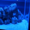 IMG_0277.jpg