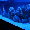 IMG_0278.jpg