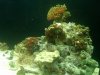 IMG00047-20101031-1420.jpg