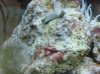 2010-11-03_12.21.58.jpg