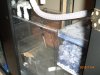 fish tank 003.JPG