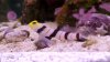 2010-11-07_12-27-36_221.jpg