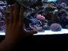 IMG00112-20101109-1259.jpg