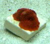 red mushroom.jpg