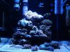 fts.jpg