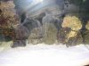 DSC04656.jpg