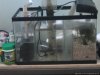 DSCF0362-Optimized.jpg