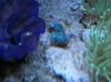 100_0760.JPG