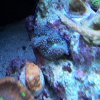 100_0758.JPG